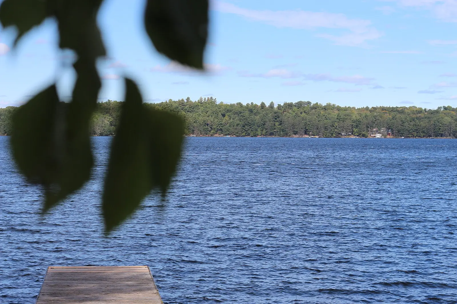 Lake of Bays