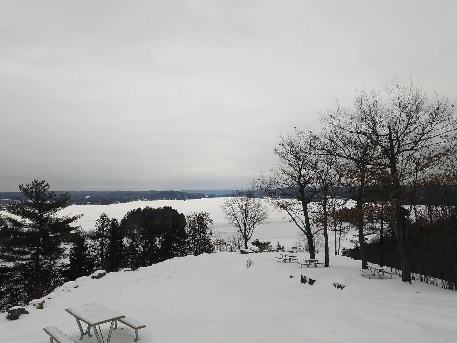 Lion's Lookout